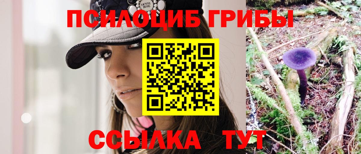 Псилоцибиновые грибы Psilocybine cubensis Якутск